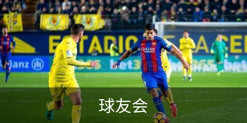 走进球友会